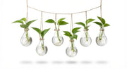 White background image of hanging bulb rooting vase set