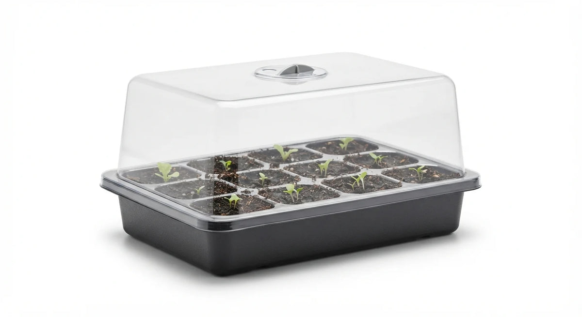 White background image of clear seed-start germination dome kit