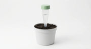 Alternate angle of self-watering plant spikes set for potted plants