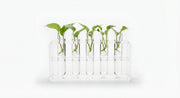 Alternate angle of mini humidity tray for indoor plant pots