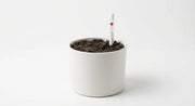 Alternate angle of water level indicator stakes set for planters