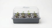 Alternate angle of clear seed-start germination dome kit