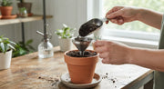 Mini Soil Scoop and Funnel Set for Indoor Potting in a real plant-care setting