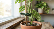 Reusable Soft Twist Plant Ties Roll in a real plant-care setting