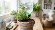 Adjustable Drip Irrigation Bottle Caps Set for Potted Plants in a real plant-care setting