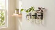 Magnetic Wall Propagation Vase Set for Plant Cuttings in a real plant-care setting