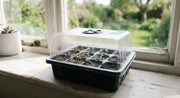 Clear Seed-Start Germination Dome Kit in a real plant-care setting