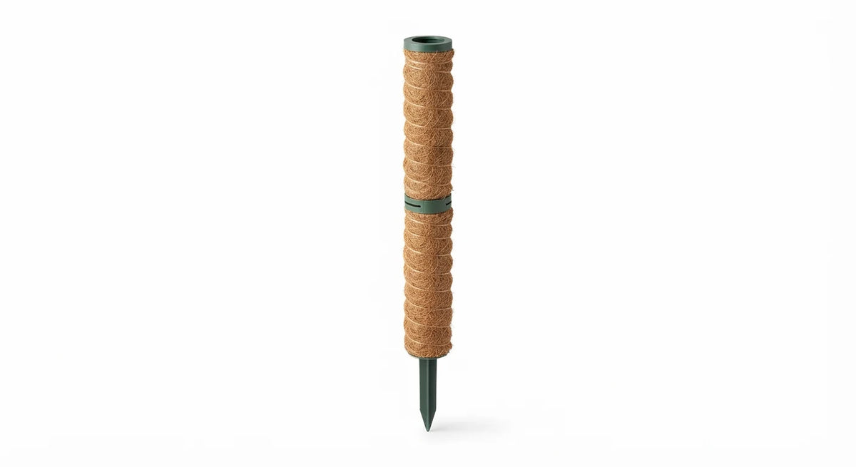 Stackable Moss Pole Set for Climbing Houseplants variant detail