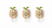 Magnetic Wall Propagation Vase Set for Plant Cuttings variant detail